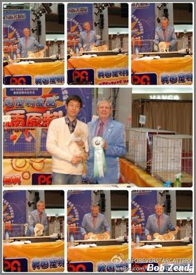 Zhen Hao Gao photo collage